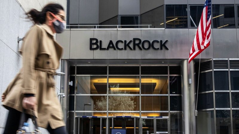 BlackRock, Bir Blokzinciri ETF’i İçin Müracaatta Bulundu