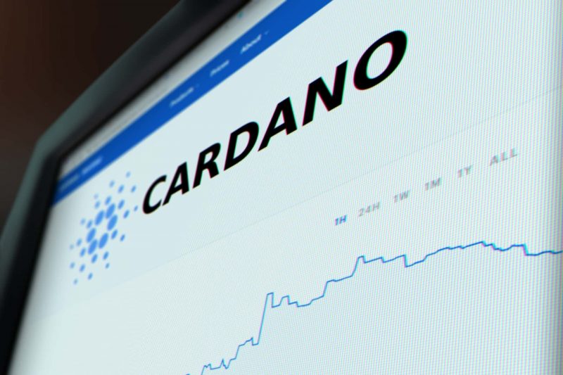 Santiment Gözleri Cardano’ya Çevirdi: Bunları İzleyin!