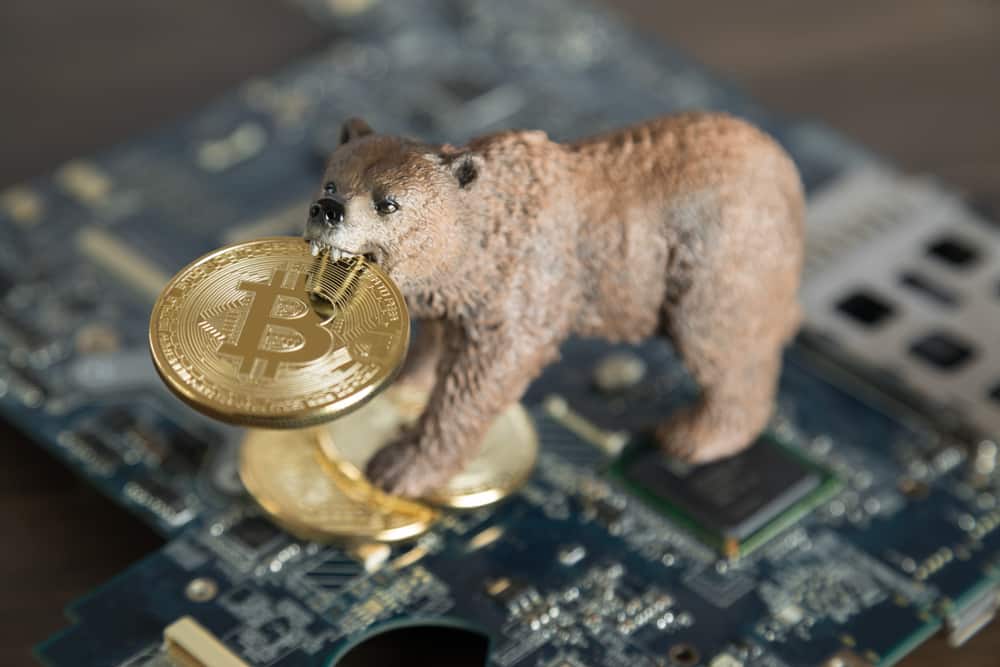 Dev Bitcoin Balinası, Piyasadaki Çöküşün Nedenini Açıkladı!
