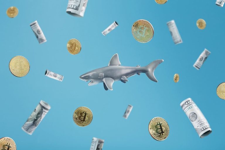 Devasa Balinalar, Bu 12 Altcoin’de Taban Avcılığı Yapıyor!