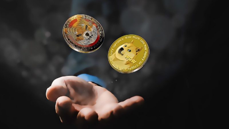 DOGE, SHIB ve AXS Varsayımı: Bu Düzeyleri Bekleyin!