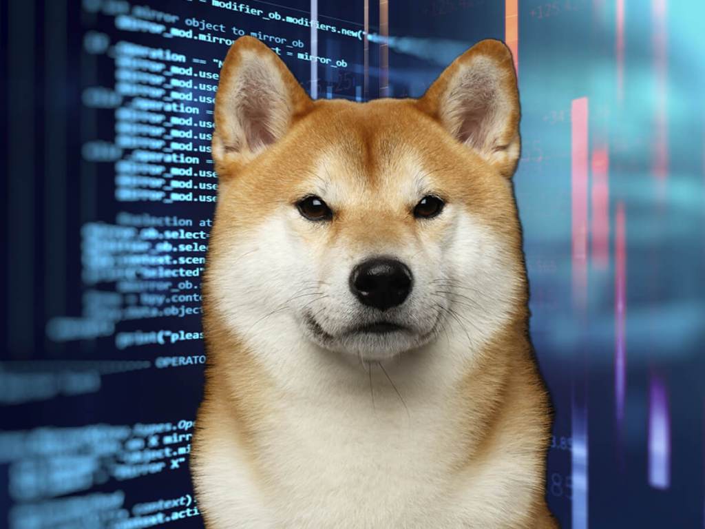 Dogecoin’de Bir Birinci: Büyük DOGE Entegrasyonu Duyuruldu!