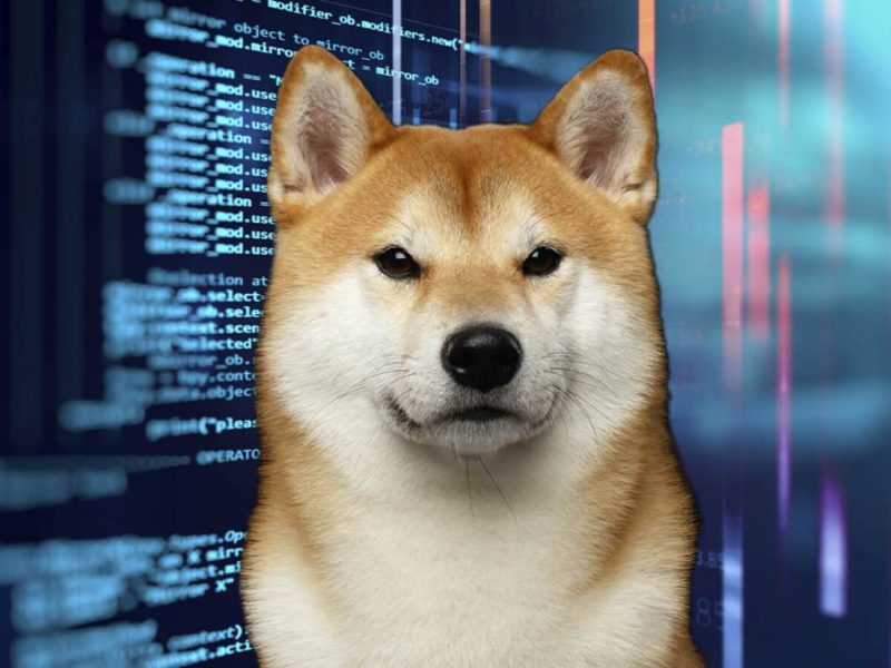 Elon Musk Dogecoin Bombasını Patlattı: DOGE Fırladı!
