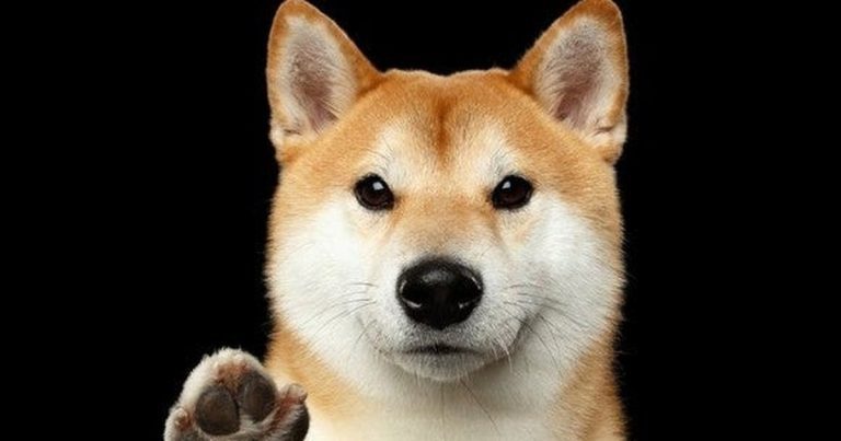 Elon Musk’tan Yeni Dogecoin Tweeti! Fiyat Ne Oldu?