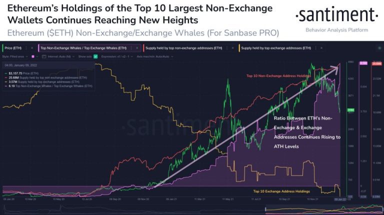 Enteresan Liste: Balinalar, Bu Altcoin’lerden Dev Ölçüde Biriktiriyor!
