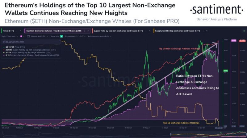 Enteresan Liste: Balinalar, Bu Altcoin’lerden Dev Ölçüde Biriktiriyor!