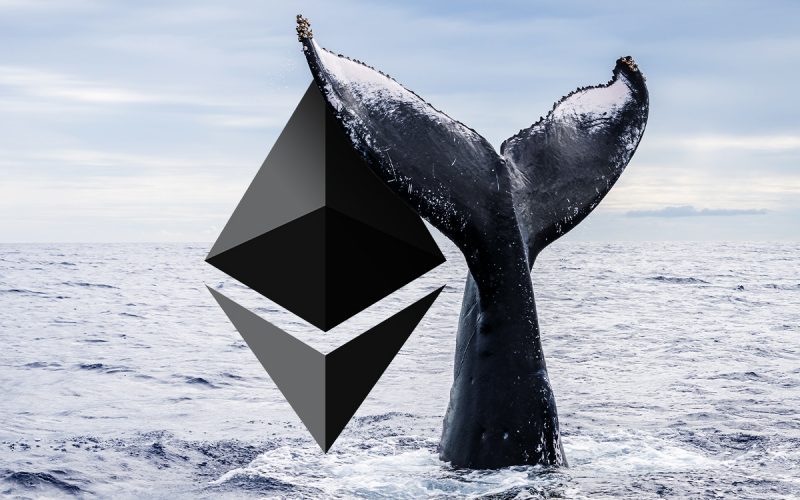 Ethereum ve Ripple Balinaları Ne Yapıyor? Enteresan Veriler!