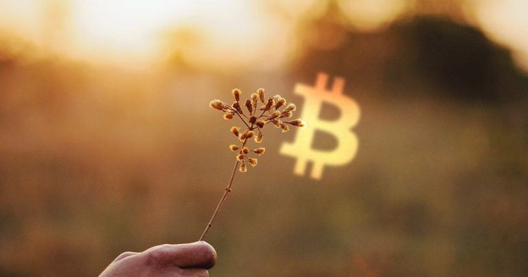 JPMorgan Müşterilerinin Çoğunluğu, Bitcoin Konusunda Umutlu
