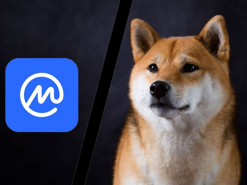 SHIB, CoinMarketCap’i “3 Düzmece Mukavele Adresi” Listelemekle Suçladı