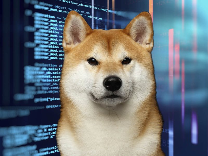 SHIB ve Dogecoin Bakakaldı: Bu Meme Coin Pik Yaptı!