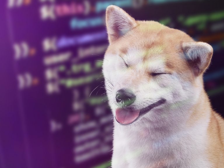 Ünlü CMO SHIB, DOGE Kestirimi ile Sepetindeki 9 Altcoin’i Paylaştı!