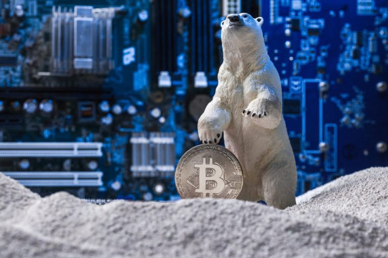 Uzmanlar: Bitcoin Kışını Unutun! Kripto Buz Çağı Geliyor