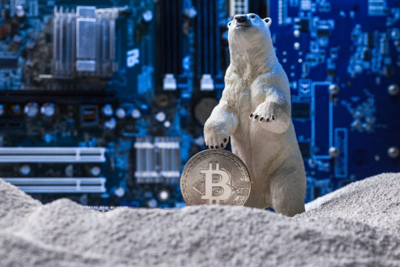 Uzmanlar: Bitcoin Kışını Unutun! Kripto Buz Çağı Geliyor