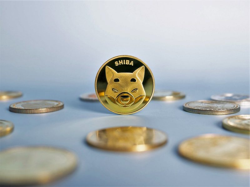 144.2 Milyonluk Shiba Inu (SHIB) Yakıldı
