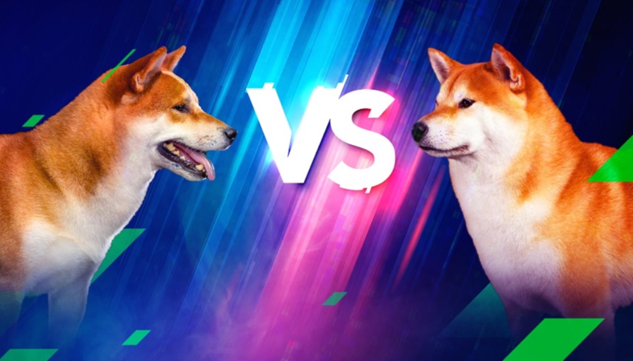 2 Analist: SHIB ve DOGE Haftaya Bu Düzeyleri Görebilir!
