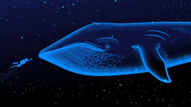 Analist: Balinalar, Bu Altcoin’i Long’luyor! Tırmanabilir