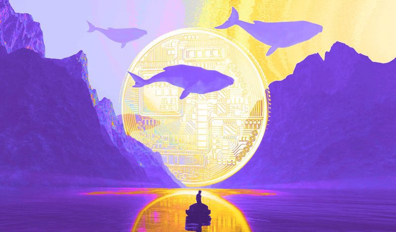 Balinalar, Bu Altcoin’den Binance’e Yığdı! Neler Oluyor?