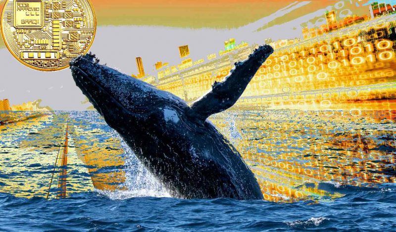 Balinalar Taban Avcılığında: Bu 10 Altcoin Trade Ediliyor!