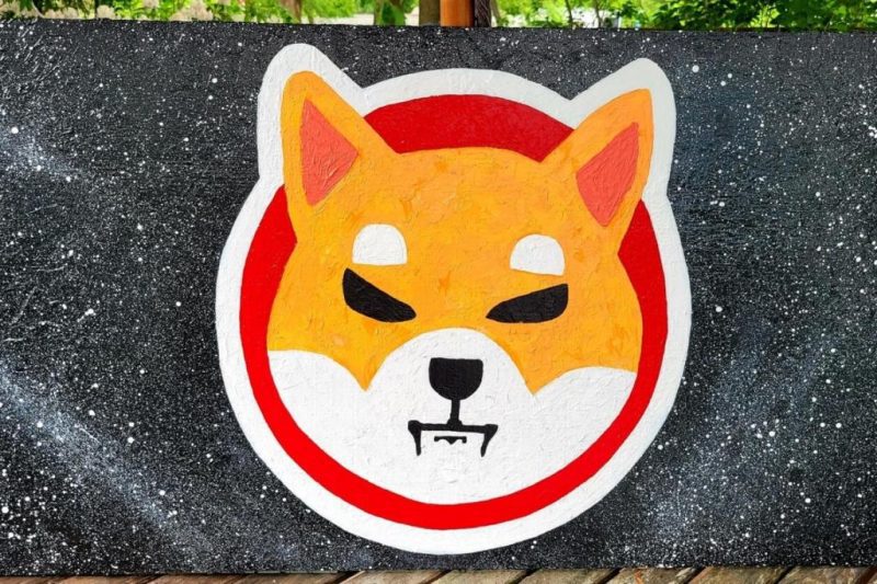 Bilgiler Geldi: Balinalar SHIB ve Bu Altcoin’leri HODL Ediyor!
