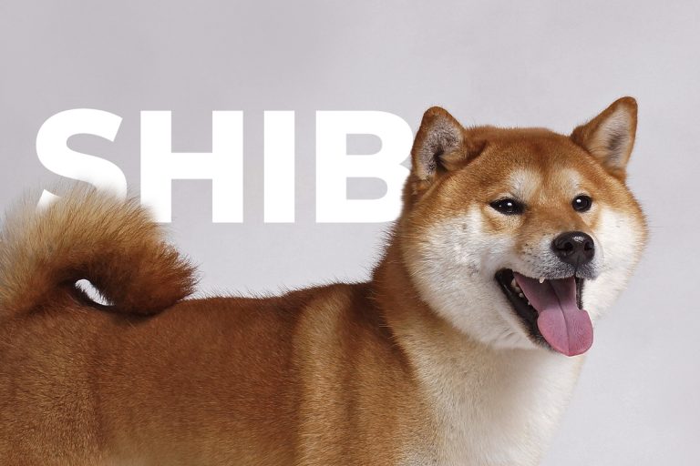 Binance’den SHIB ve Bu 4 Altcoin İçin Büyük Duyuru!