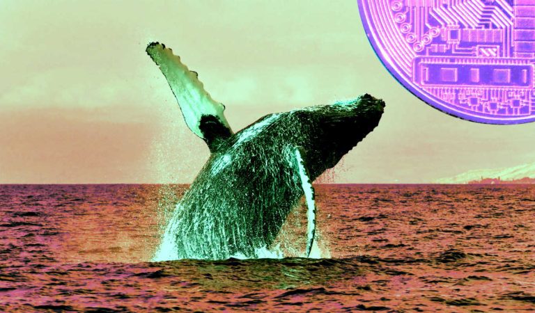 Bitcoin’den Umudu Kesen Balinalar, Bu Altcoin’den Alıyor!