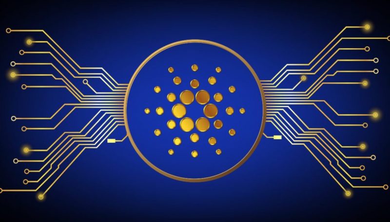 Cardano’nun En Kıymetli Güncellemesi Yayında: Bu Ne Demek?