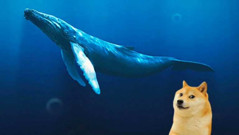 DOGE de Listede! Balinalar Bu Altcoin’lere Bahis Yapıyor
