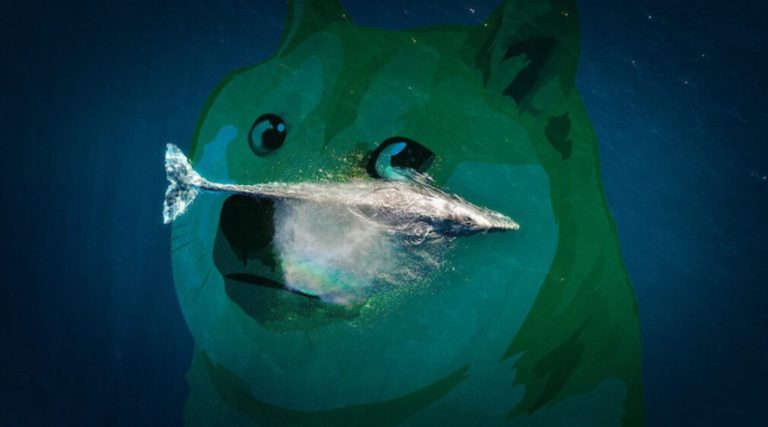 DOGE de Listede: Balinaların Cepleri Bu Altcoin’lerle Dolu!