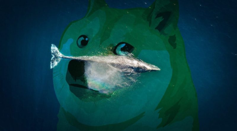 DOGE de Listede: Balinaların Cepleri Bu Altcoin’lerle Dolu!