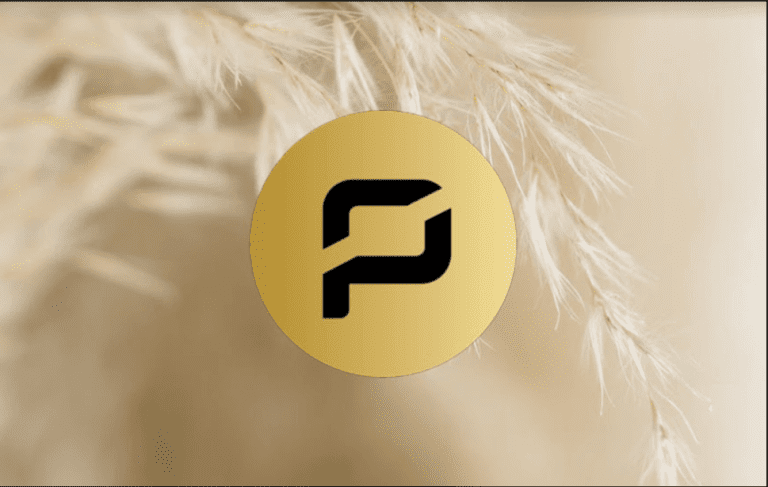 Düşen Piyasada Roketledi: Pirate Chain (ARRR) Nedir?