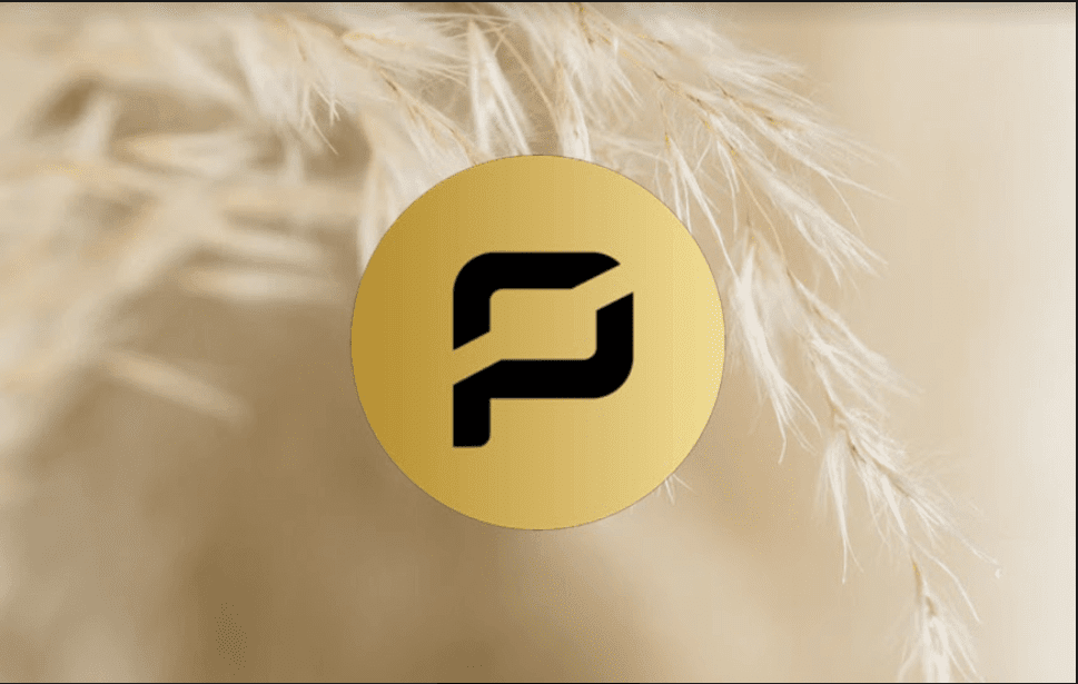 Düşen Piyasada Roketledi: Pirate Chain (ARRR) Nedir?
