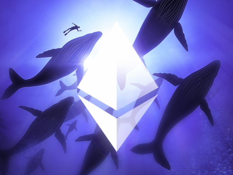 Ethereum ve BNB Balinaları, Bu Altcoin’leri Stokluyor!