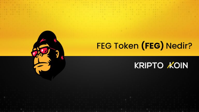 FEG Token Nedir?
