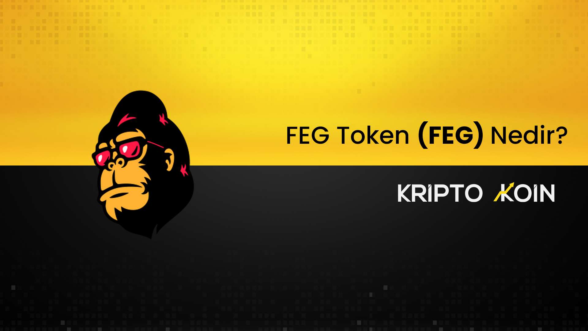FEG Token Nedir?