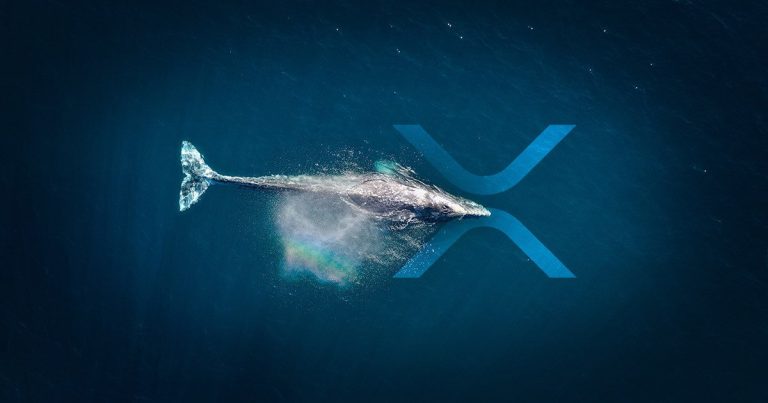 Kripto Balinası, 120 Milyon XRP’yi Özel Cüzdana Taşıdı