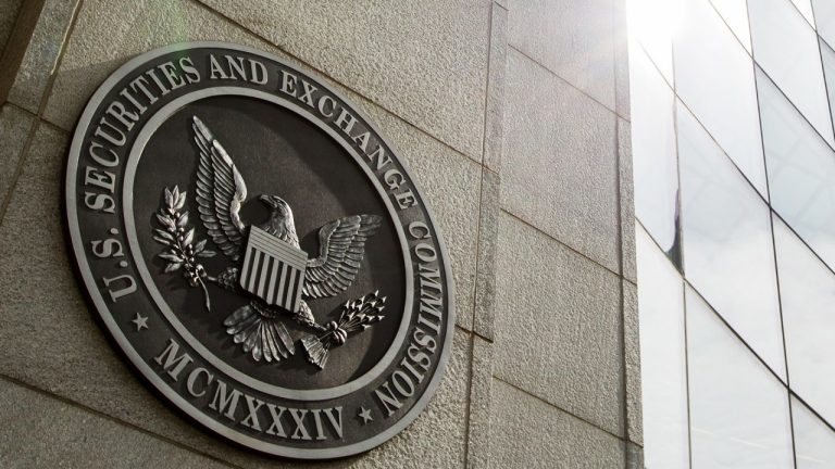SEC Üyesi: Düzenlemeler, Bu Altcoin Piyasasını Hedefliyor!