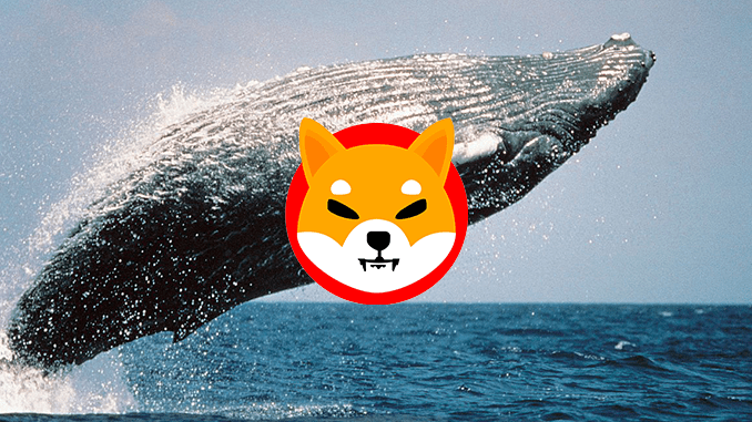SHIB Balinaları, Bu 10 Altcoin’in Peşine Düştü: İşte Liste!