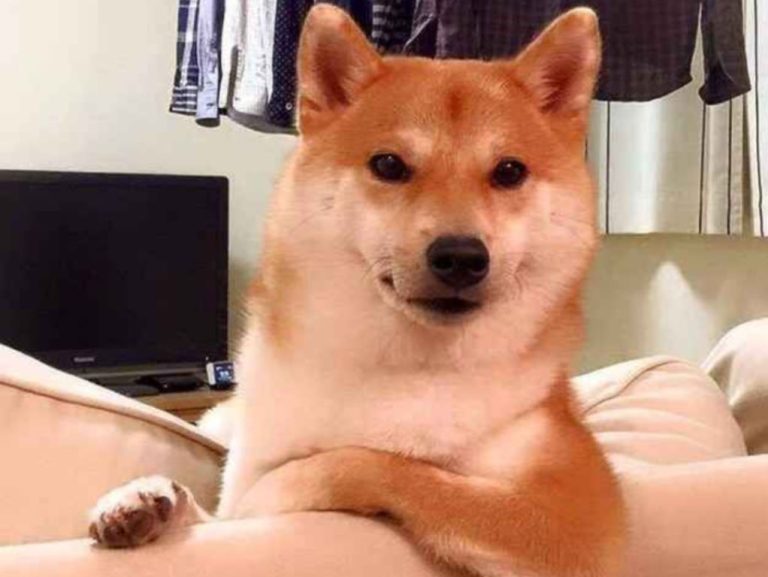 Vitalik Buterin Bu Meme Coin’e Göz Kırptı: Pijamaları Giydi!