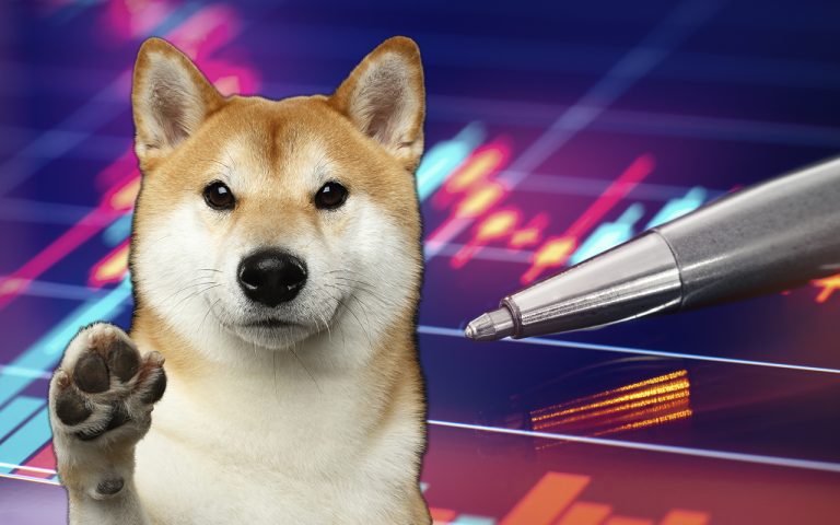 Tecrübeli Analist: Artık Shiba Inu Bu Düzeyleri Görebilir!