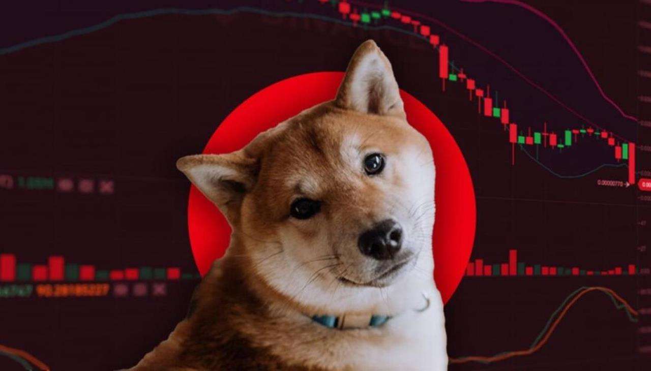 Analist: Shiba Inu Önümüzdeki Günlerde Bu Düzeyleri Vurabilir!