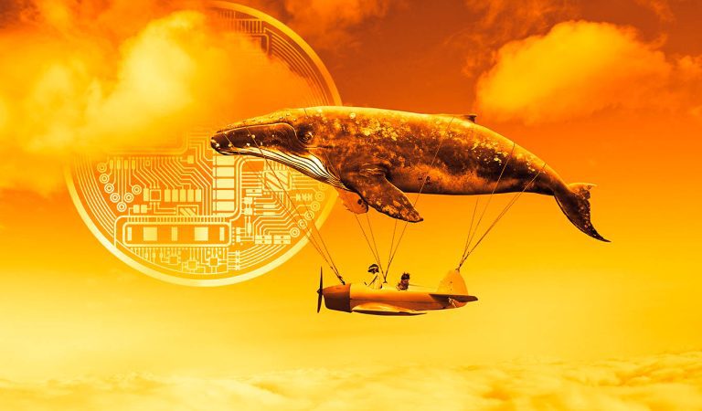 Balinalar Satıyor: Bu Altcoin’ler Satış Baskısı Yiyor!