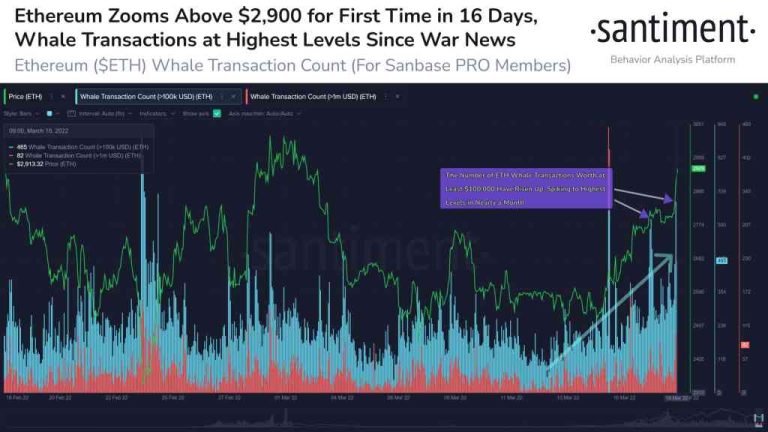 Bu 2 Altcoin’de Balina Birikimi Yaşanıyor! “Ralli Bekleyin”