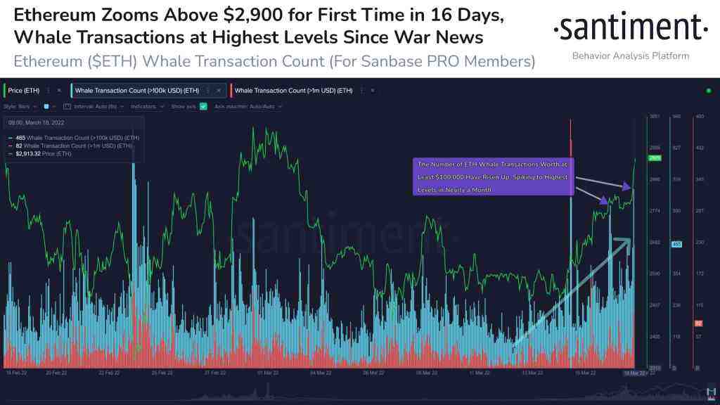 Bu 2 Altcoin’de Balina Birikimi Yaşanıyor! “Ralli Bekleyin”