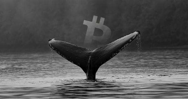 Bu Bitcoin Balinasına Dikkat: O Düzeye Satış Duvarı Ördü!