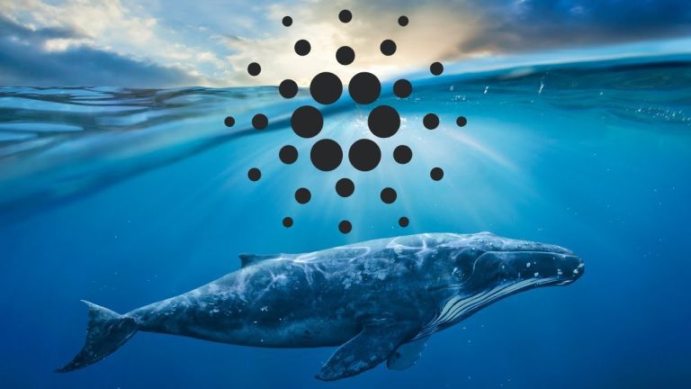 Cardano Balinaları Harekete Geçti: İşte Kıymetli Gelişmeler!