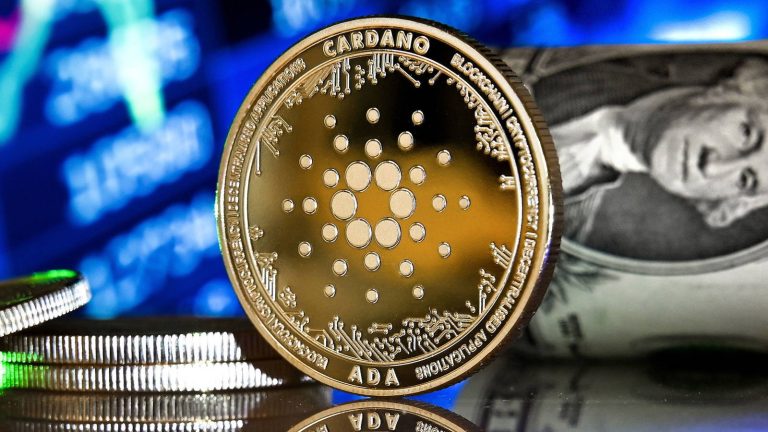 Cardano Mucidinden Değerli Açıklamalar: Sırrımız Yok!