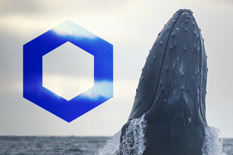 Dev Chainlink Balinasının, Sepetinde Bu 5 Altcoin Var!