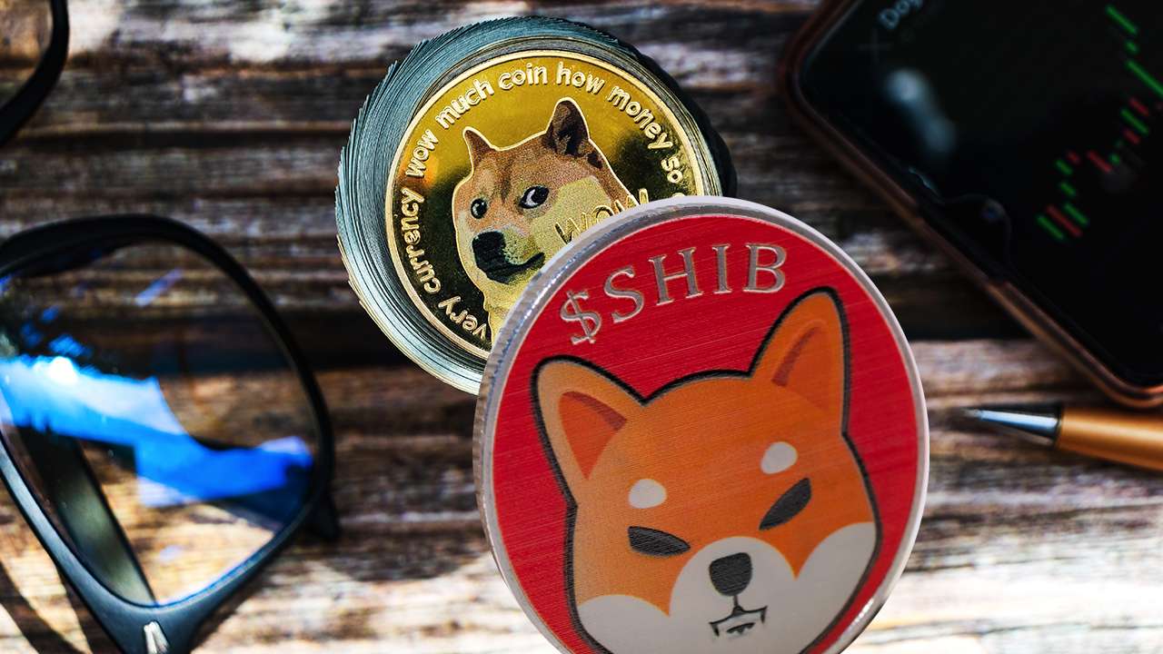 Dogecoin Mucidinden “Şoke Eden” Shiba Inu Yorumları!