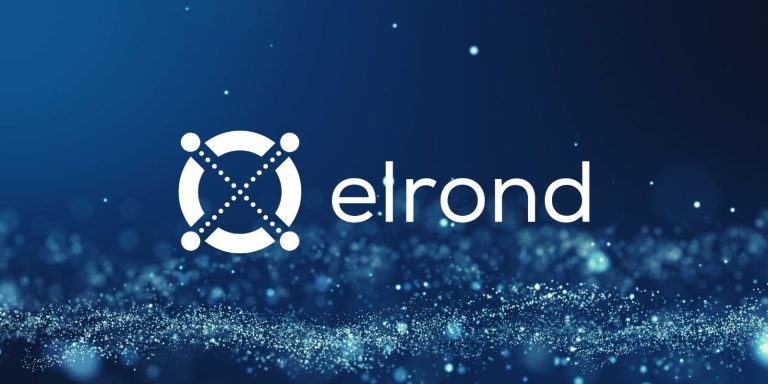 Elrond, Ödeme Şirketi Twispay’i Satın Aldı