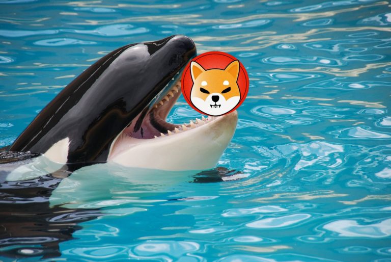 Kürekle Shiba Inu Toplayan Balinanın Sepetinde Bu Coin’ler Var!